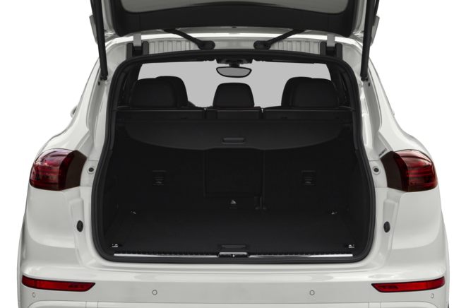 Trunk/Cargo Area/Pickup Box