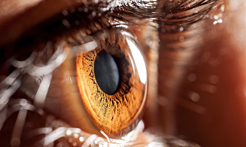 Close up of human eye