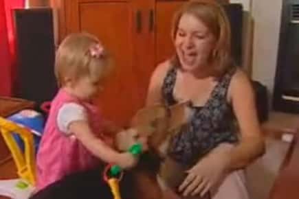 Image of a woman, her toddler daughter, and their dog.