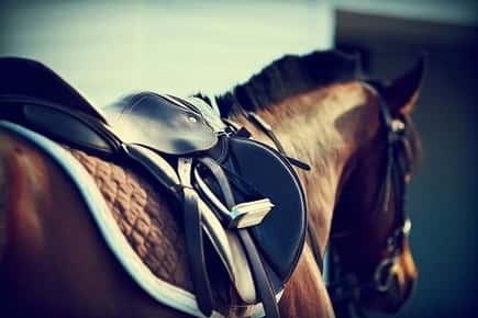 Image of a horse saddle. 