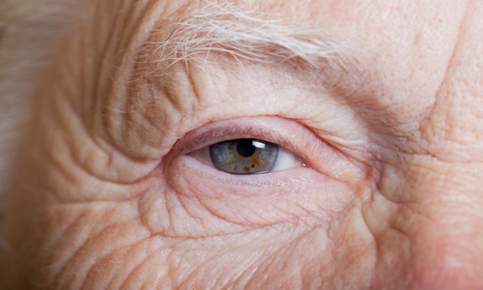 Aging eye of an older man