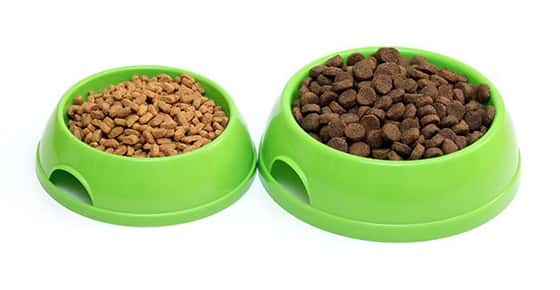 Image of two bowls of kibble.