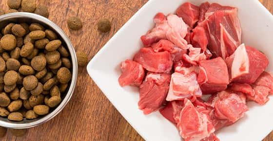 Image of pet kibble next to raw meat. 