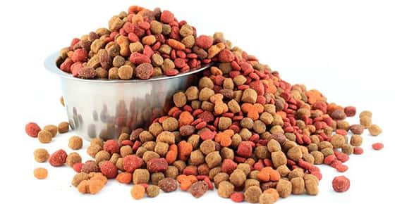Image of an overflowing bowl of kibble. 