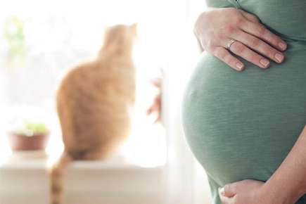 image of a pregnant lady's belly and cat in the distance.