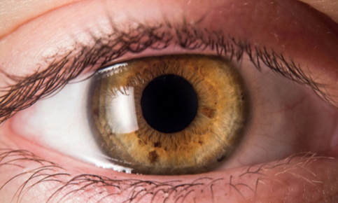 Close up of human eye