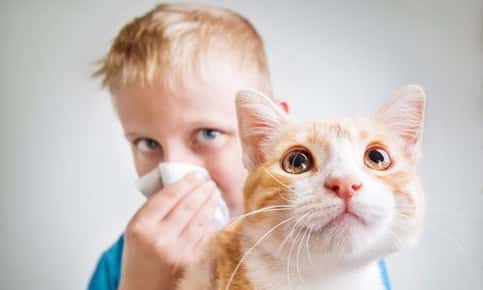 image of a boy holding a cat and sneezing.