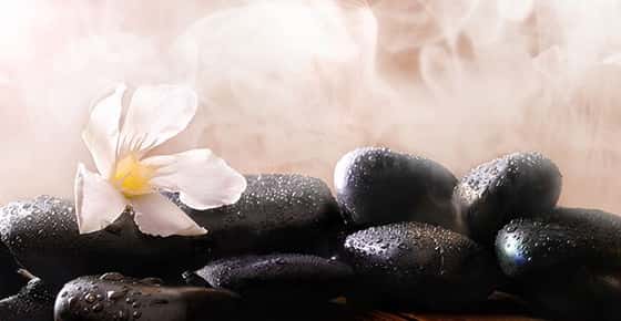 Image of flower on top of hot, steaming rocks.