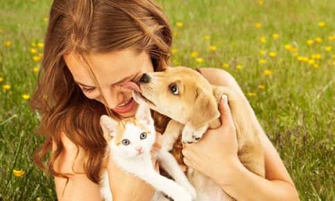 image of a woman holding a dog and cat.