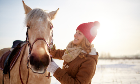 Horse in the wintertime