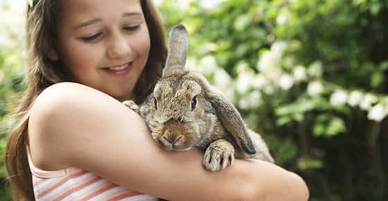 Image of girl holding rabbit. 