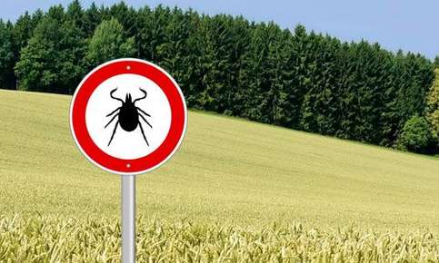 tick warning