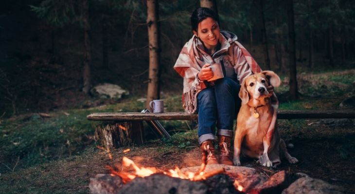 dog with owner camping
