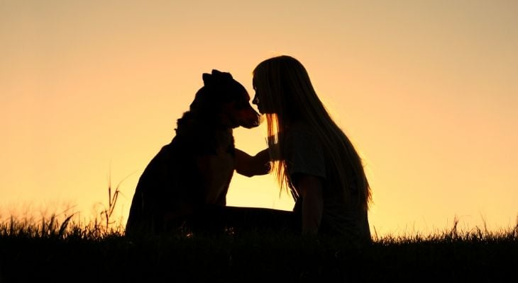 dog and child at sunset