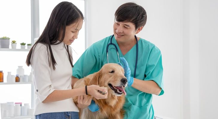 vet with dog and owner