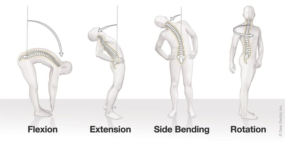How spine moves