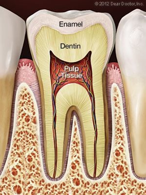 Healthy Tooth | Root Canals Augusta GA
