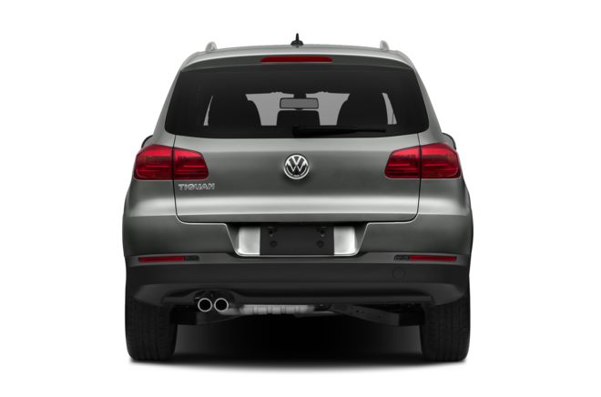 Rear Profile 