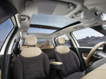 OEM Interior 