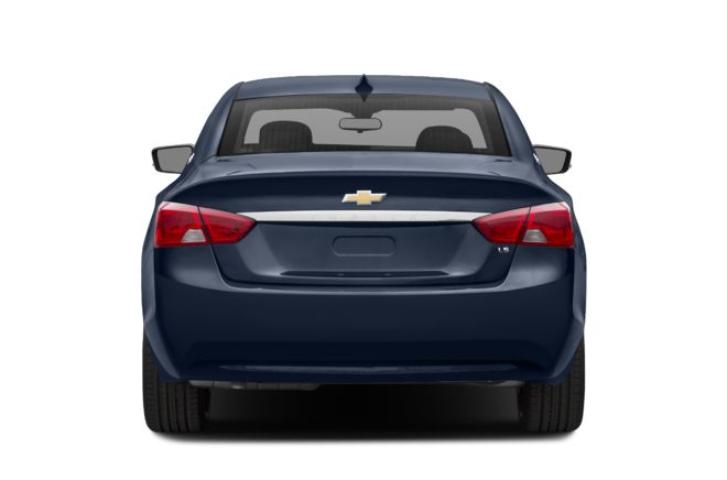 Rear Profile 