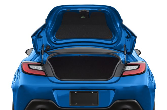Trunk/Cargo Area/Pickup Box