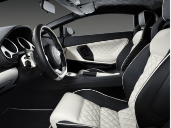 OEM Interior Primary 