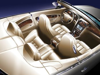OEM Interior Primary 