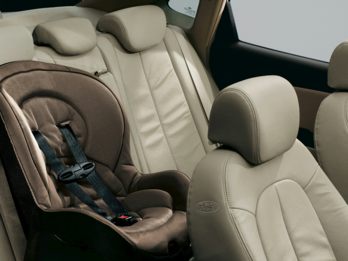 OEM Interior 