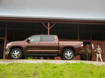 OEM Exterior Standard
