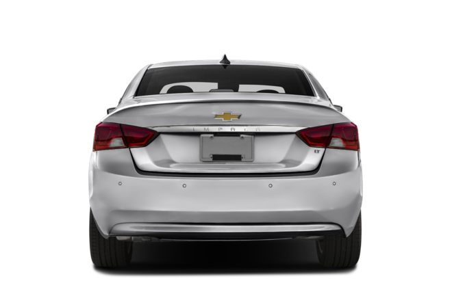 Rear Profile 