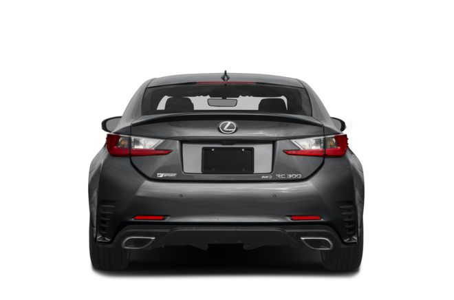 Rear Profile 