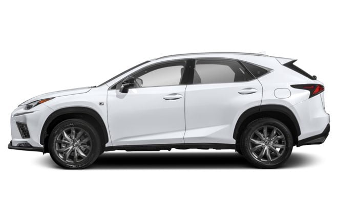 2019 Lexus NX Pictures