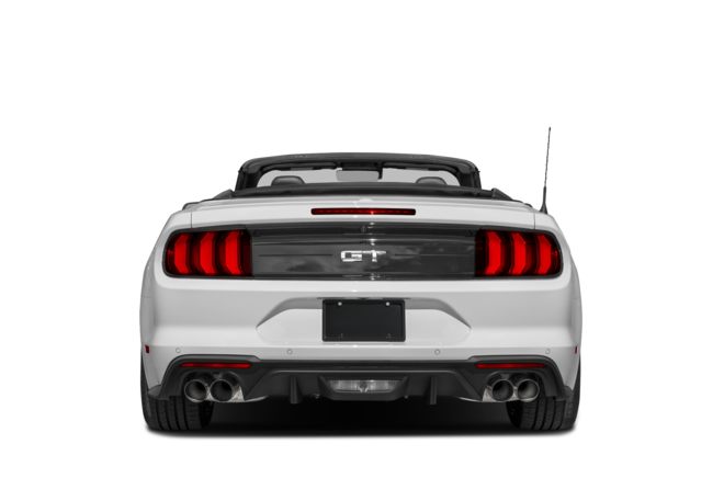 Rear Profile 