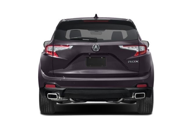 Rear Profile 