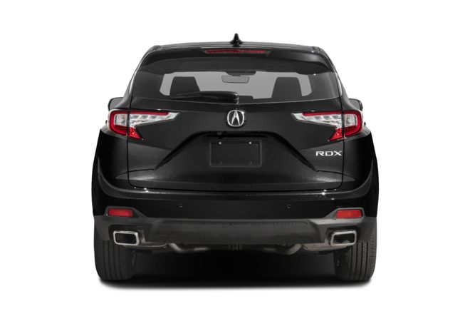 Rear Profile 