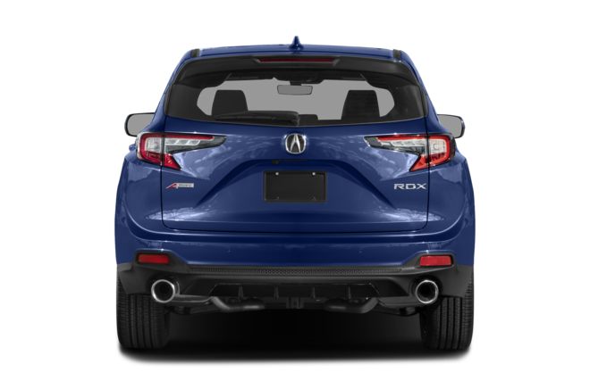 Rear Profile 