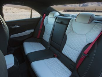 OEM Interior 