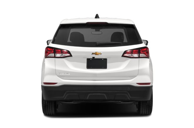 Rear Profile 
