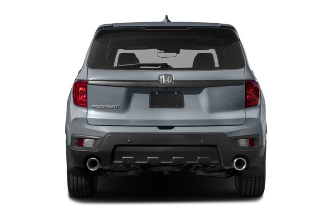 Rear Profile 
