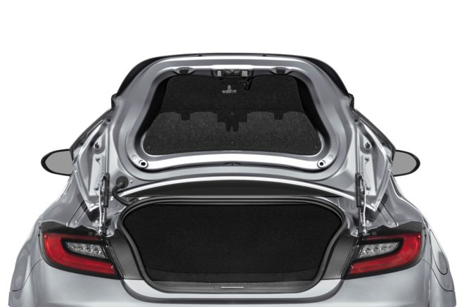 Trunk/Cargo Area/Pickup Box