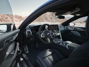 OEM Interior Primary 