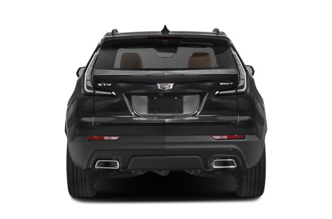 Rear Profile 