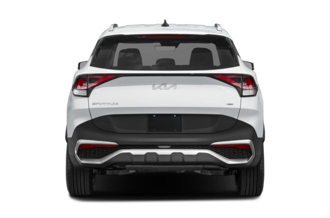 Rear Profile 