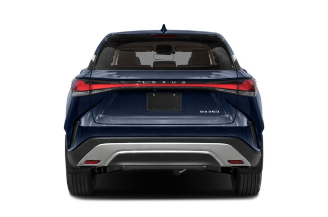 Rear Profile 