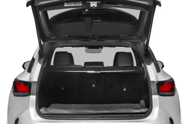 Trunk/Cargo Area/Pickup Box