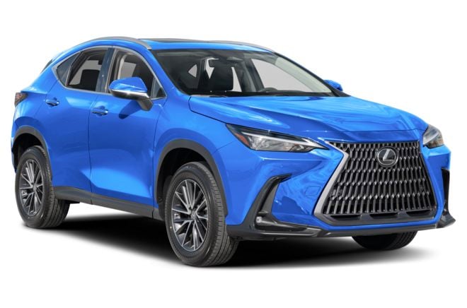 2024 Lexus NX Pictures