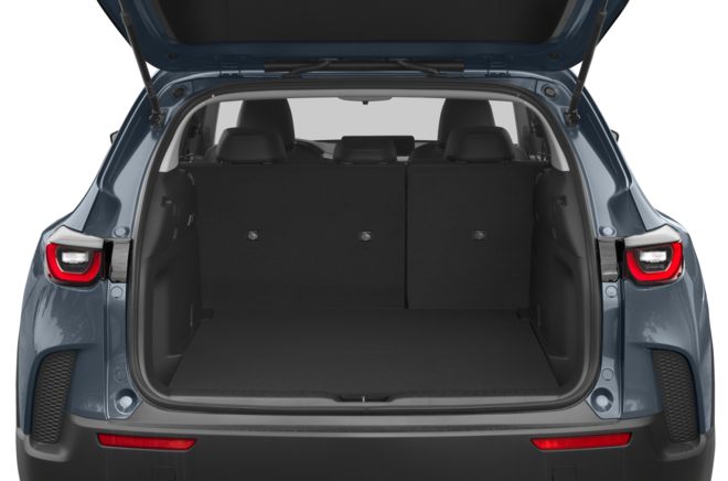 Trunk/Cargo Area/Pickup Box