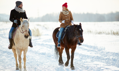 Horseback riding in the snow 