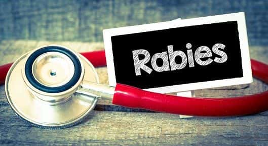 Image of stethoscope and a sign that says rabies.
