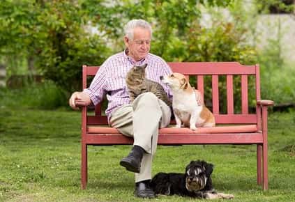 Image of an elderly man sitting on a bench with a cat, dog, and a second dog laying by his feet.